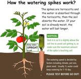 Terracotta Self Watering Spikes 10-Pack