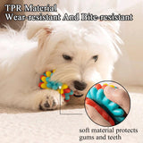 Dog Toy Ball TPR Chew Durable Teeth Cleaner - Blue